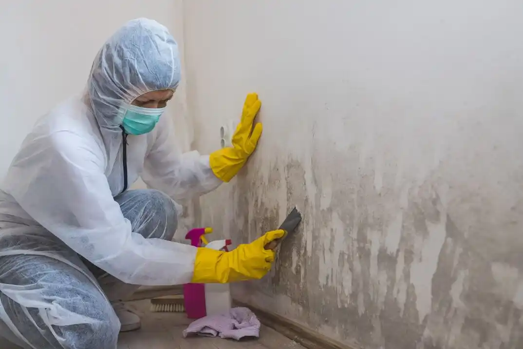 water damage restoration service Plantation South
